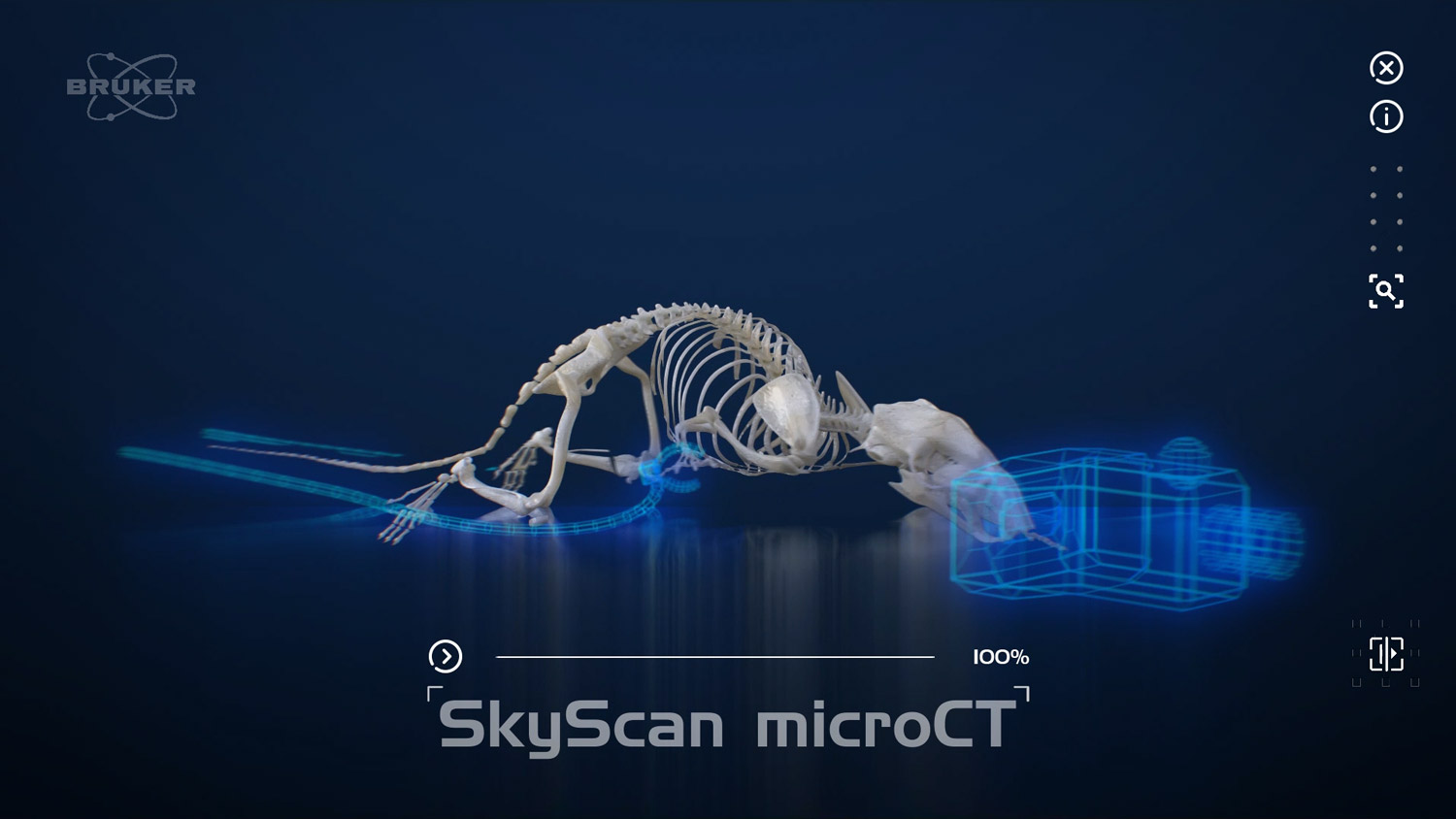 3D-Produkt-Video 3D-Maus Skelett
